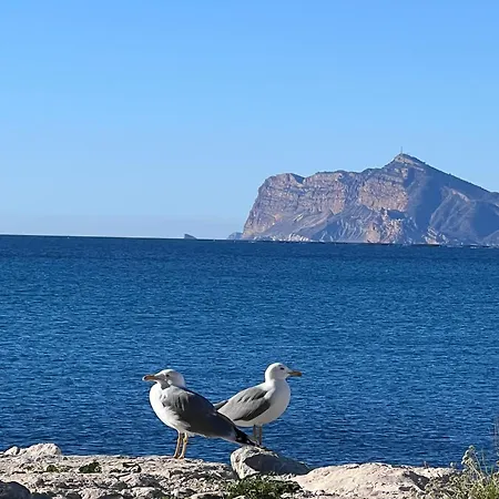 Silver Tower 5b Апартаменты *